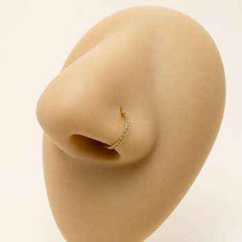 Simple zircon hoop